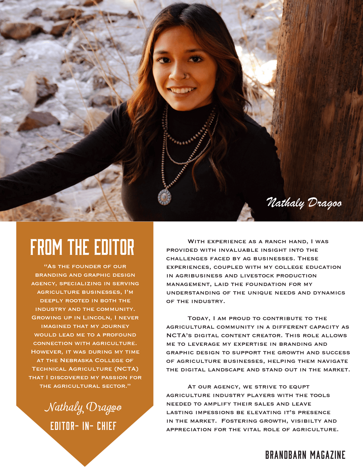 From the Editor page.