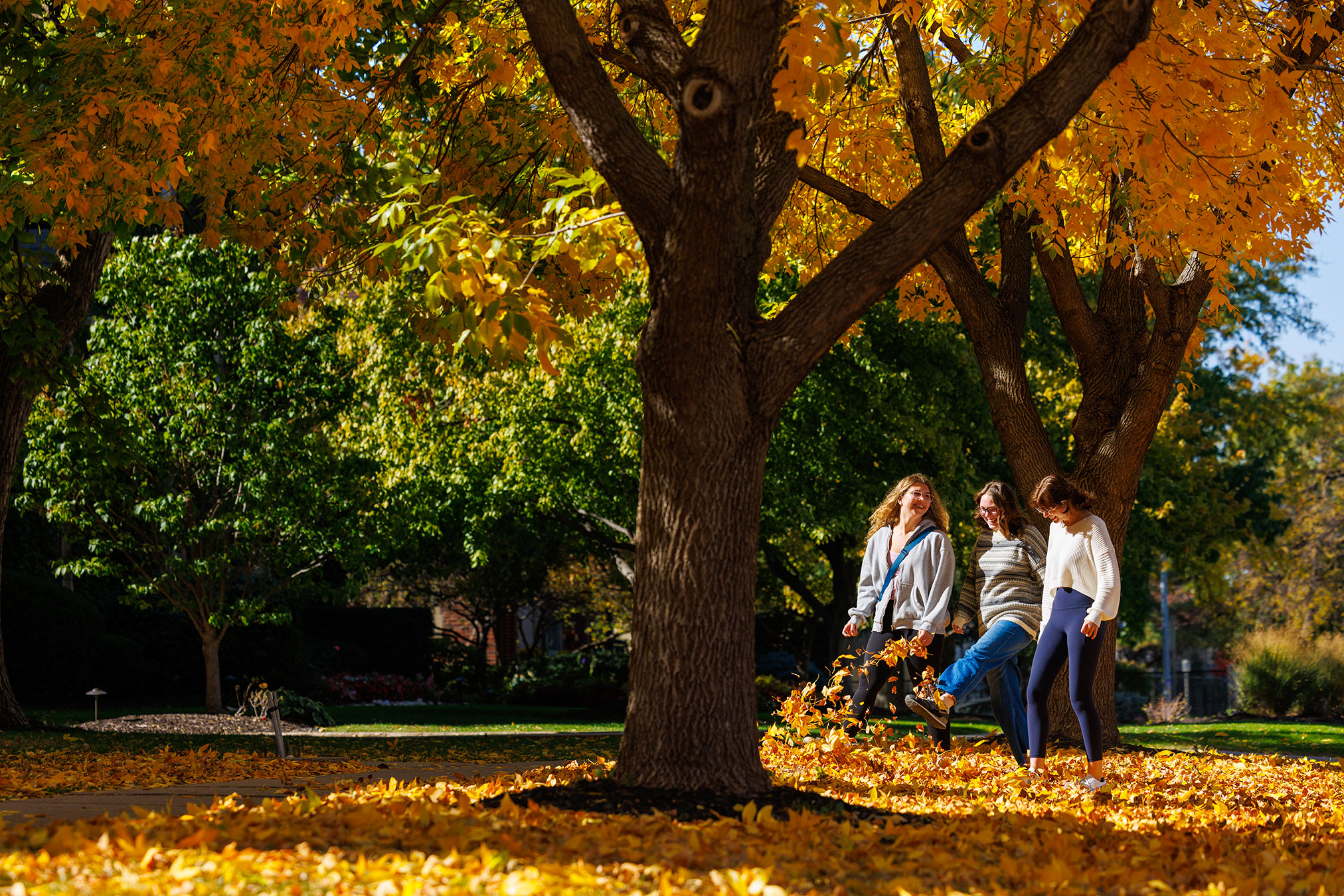 Students in fall walking through leaves on the ground.