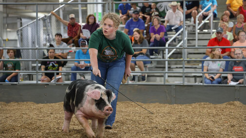 Girl and pig at the fair.